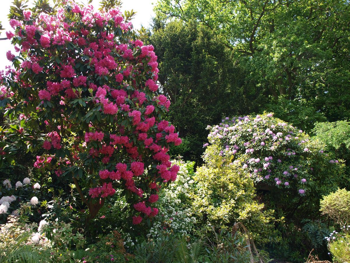 Heatherbank B&B Sandhurst  Exteriér fotografie
